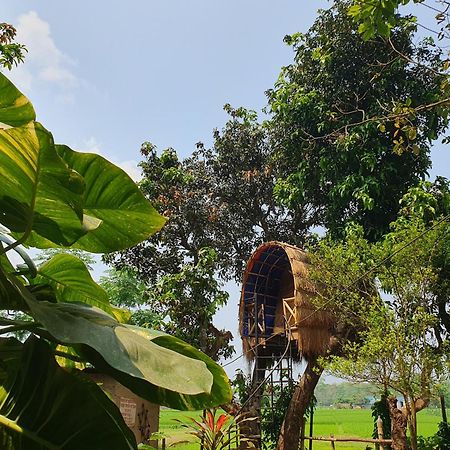 Pemsee'S Tree Town - Eco-Friendly,Tree House Hostel سوراها المظهر الخارجي الصورة