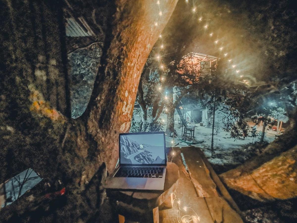 Pemsee'S Tree Town - Eco-Friendly,Tree House Hostel سوراها المظهر الخارجي الصورة