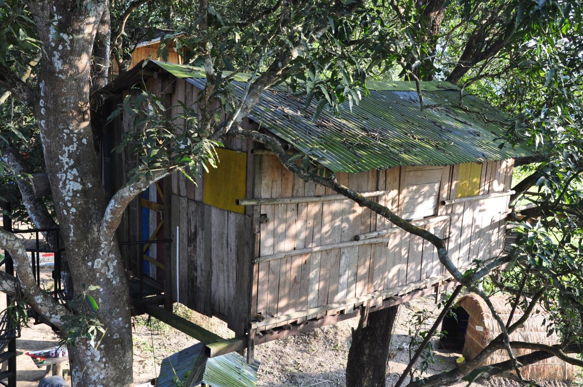 Pemsee'S Tree Town - Eco-Friendly,Tree House Hostel سوراها المظهر الخارجي الصورة