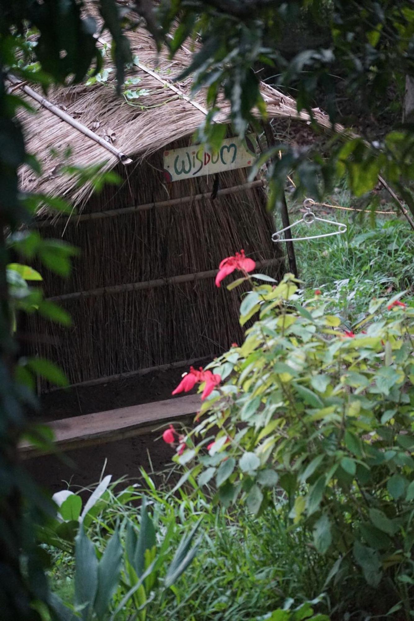 Pemsee'S Tree Town - Eco-Friendly,Tree House Hostel سوراها المظهر الخارجي الصورة