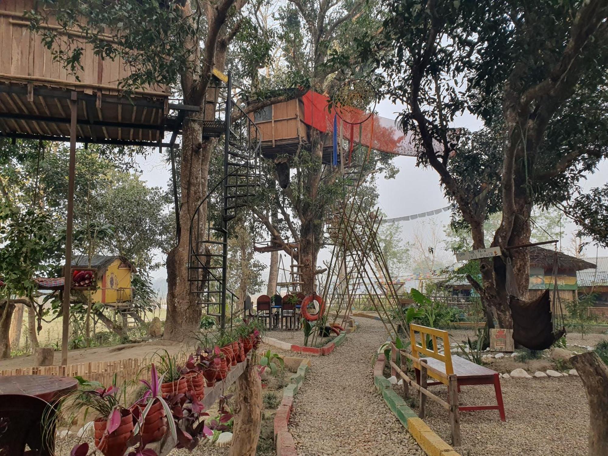 Pemsee'S Tree Town - Eco-Friendly,Tree House Hostel سوراها المظهر الخارجي الصورة