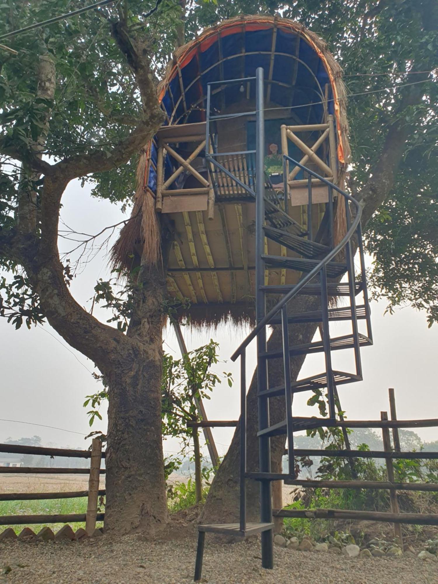 Pemsee'S Tree Town - Eco-Friendly,Tree House Hostel سوراها المظهر الخارجي الصورة