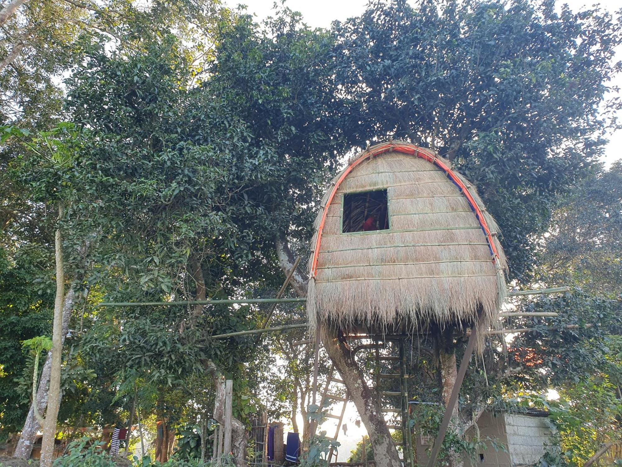 Pemsee'S Tree Town - Eco-Friendly,Tree House Hostel سوراها المظهر الخارجي الصورة